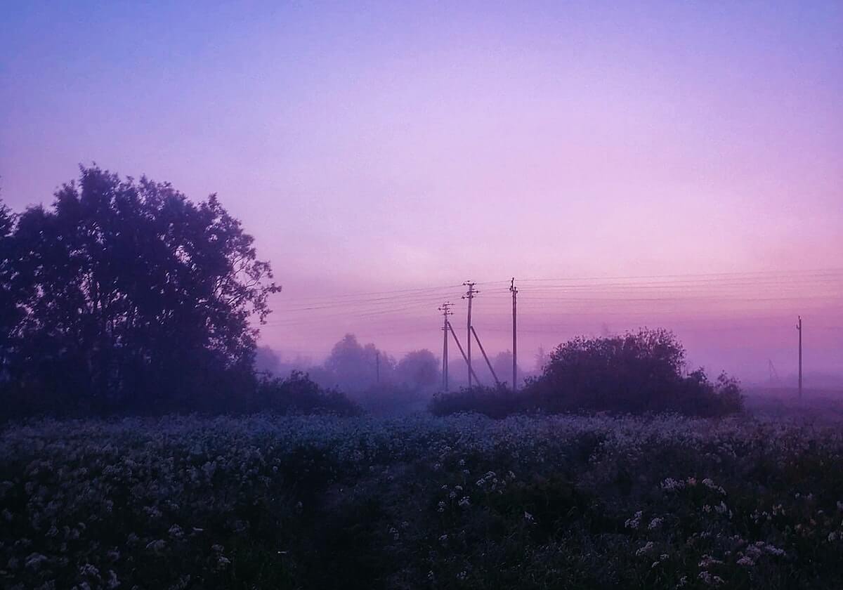 大众娱乐平台：把娱乐带回生活的每一个角落